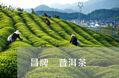 昌牌 普洱茶/2023042730960